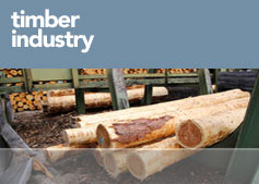 timber industry